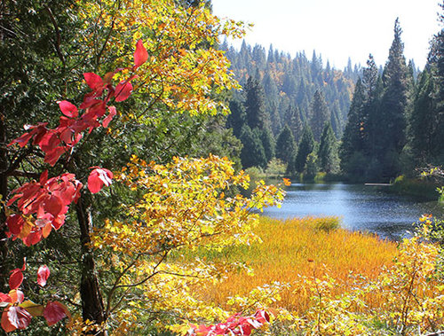 Hiking Trails at Sugar Pine Christian Camps